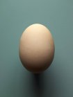 Fresh brown big chicken egg — Stock Photo