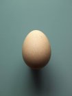 Uovo di pollo marrone fresco — Foto stock