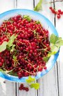 Redcurrants with leaves in bowl — Stock Photo