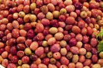 Aceitunas rojas en escabeche - foto de stock
