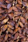 Bunches of dried dates — Stock Photo