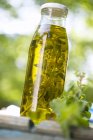 Крупный план домашнего масла орегано с травой в стеклянной бутылке — стоковое фото