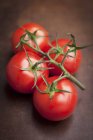 Спелые помидоры на лозе — стоковое фото