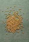 Cereali Kamut contro una superficie di lino verde — Foto stock