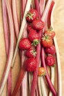 Erdbeeren und Rhabarberstengel — Stockfoto