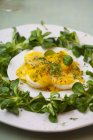 Huevos cocidos a la mitad con mayonesa - foto de stock