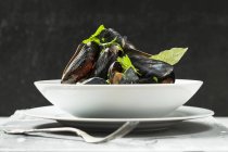 Mussels with parsley and bay leaf — Stock Photo