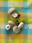 Свежие коричневые грибы с почвой — стоковое фото