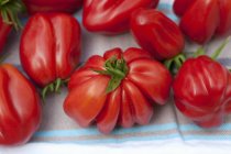 Buffalo Heart tomatoes — Stock Photo