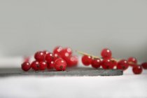 Frische reife rote Johannisbeeren — Stockfoto