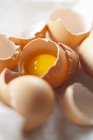 Conchas de huevo agrietadas con yema de huevo - foto de stock