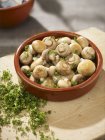 Closeup view of fried mushrooms with parsley in a dish — Stock Photo