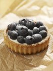 Blueberry tart with crme frache filling — Stock Photo