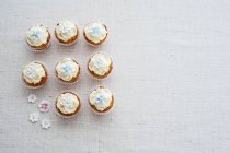 Eight cupcakes decorated with sugar flowers — Stock Photo