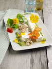 Gelée de yaourt aux crevettes — Photo de stock