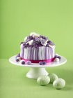 Pastel de capa púrpura y blanca - foto de stock