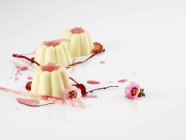 Vanilla puddings with strawberry sorbet — Stock Photo