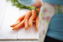 Mazzo di carote fresche — Foto stock