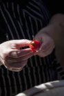 Um tomate a ser espetado nas mãos — Fotografia de Stock