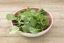 Watercress in small bowl — Stock Photo