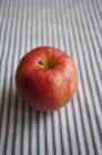 Pomme rouge fraîche — Photo de stock