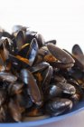 Cooked mussels in plate — Stock Photo
