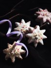 Shortbread stars and ribbon — Stock Photo