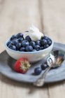 Fresh Blueberries with Whipped Cream — Stock Photo
