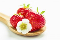 Frische Erdbeeren mit Blüten — Stockfoto