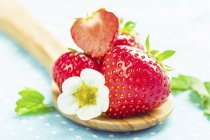 Frische Erdbeeren mit Blüten — Stockfoto
