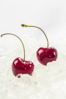 Cherries on ice cubes — Stock Photo