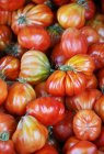 Oxheart свіжі помідори — стокове фото