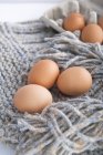 Huevos de pollo marrón - foto de stock