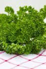 Fresh Curly-leaf parsley — Stock Photo