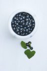 Ribes nero in ciotola di marmo — Foto stock