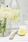 Fleurs de sureau fraîches dans un vase — Photo de stock