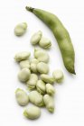 Green beans and pod — Stock Photo