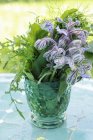 Herbs in a glass of water — Stock Photo