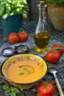 Schüssel Gazpacho-Suppe — Stockfoto