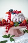 Closeup view of berry Semifreddo with fresh berries — Stock Photo