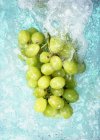 Green grapes in water — Stock Photo