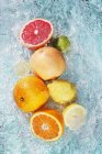 Assorted citrus fruits in water — Stock Photo