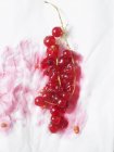 Groseilles rouges avec tige sur tissu — Photo de stock