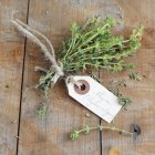 Thyme with hand-written label — Stock Photo