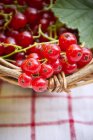 Ribes rosso in cesto rustico — Foto stock