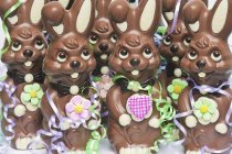 Chocolate Easter bunnies — Stock Photo