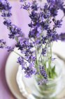Lavender flowers in a glass of water — Stock Photo