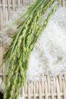 Orelhas de arroz e grãos — Fotografia de Stock