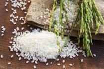 Monte de arroz e espigas de arroz — Fotografia de Stock
