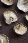 Dried shiitake mushrooms — Stock Photo